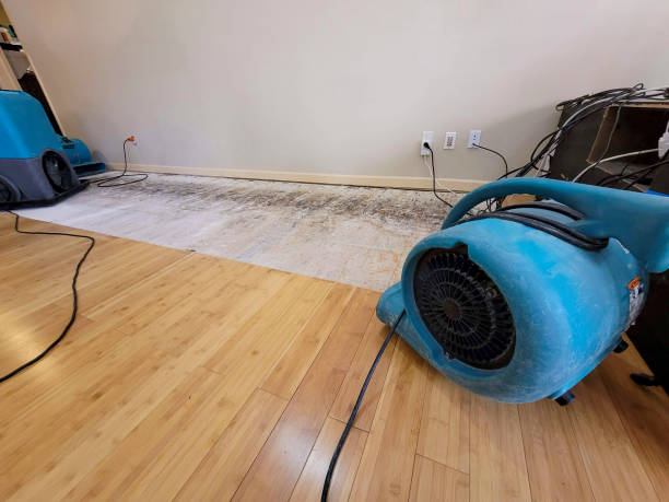 Professional Water Damage Repair technician working in Pikeville, KY